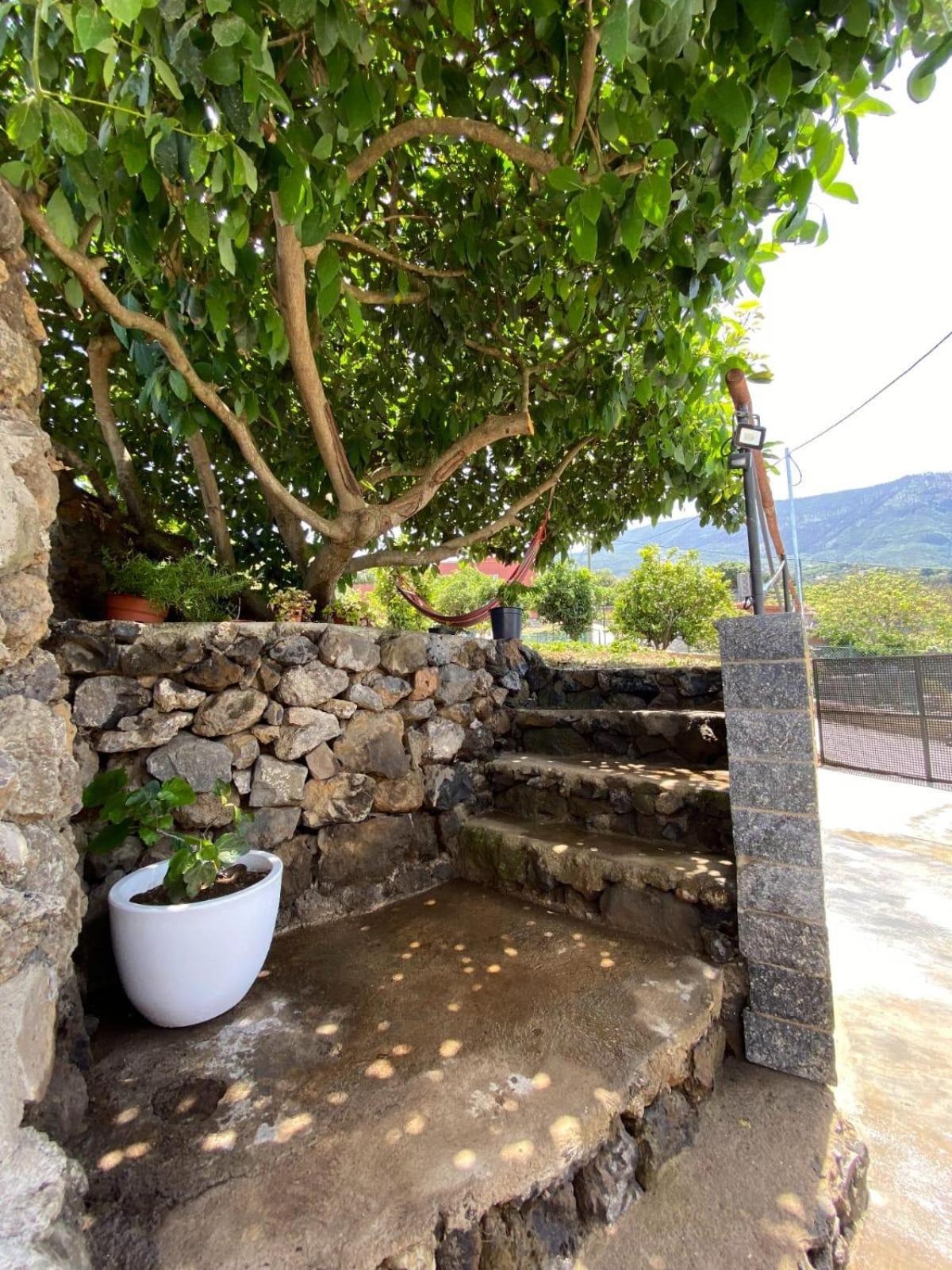 Villa Perejil Realejo Alto Bagian luar foto